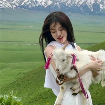 天才宝弟的狗日子海报