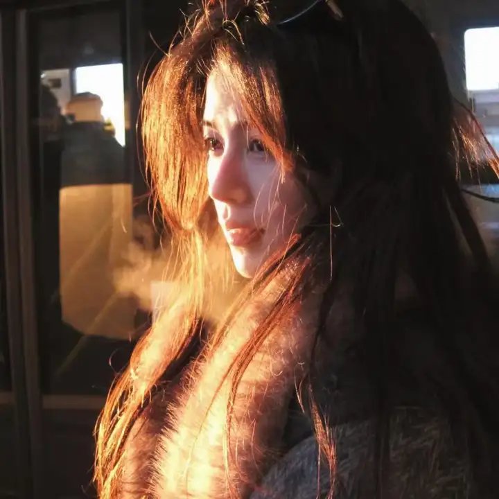大厨小婿海报