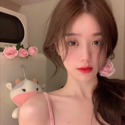 爱丽舍宫的女大厨海报