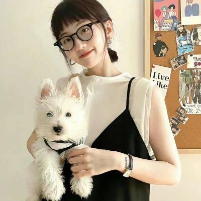 中华小子海报